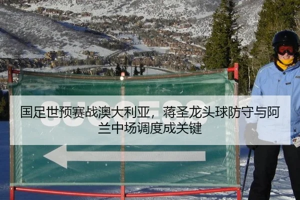 国足世预赛战澳大利亚，蒋圣龙头球防守与阿兰中场调度成关键
