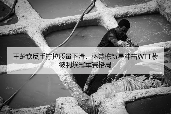 王楚钦反手拧拉质量下滑，林诗栋新星冲击WTT蒙彼利埃冠军赛格局