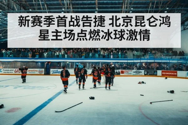 ice hockey arena crowd